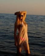 Проститутка Inessa