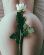 Проститутка Amber King